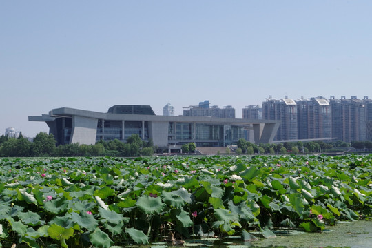 琴台大剧院