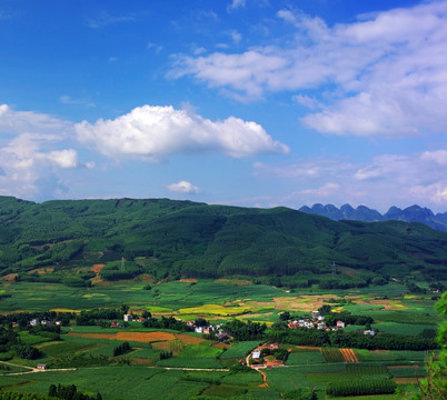 风景