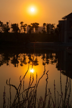 惠州鹿江公园