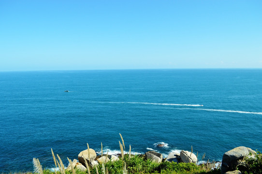 大海