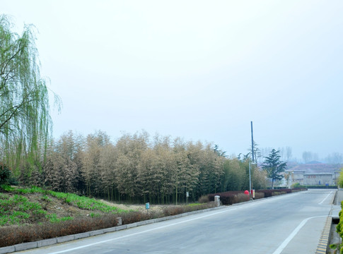 公园风景 公园道路