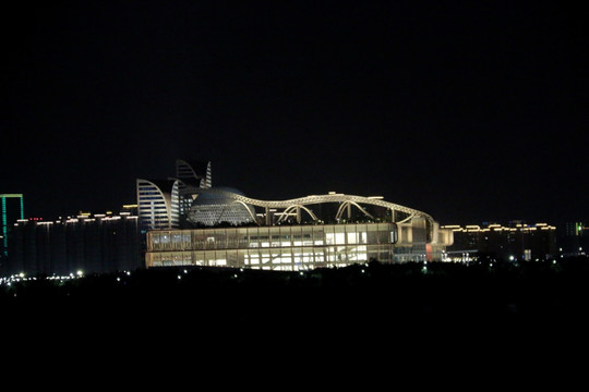 地标建筑夜景