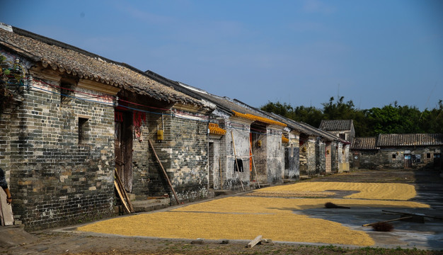 阳西 古村落 大洲村