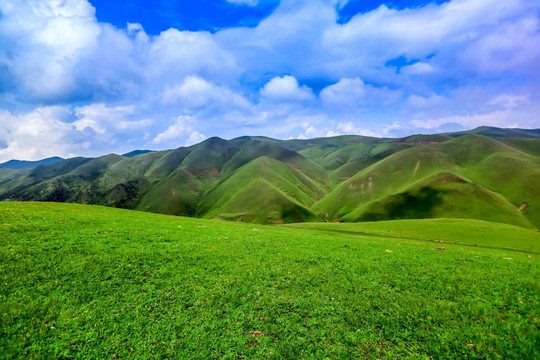 高原草场