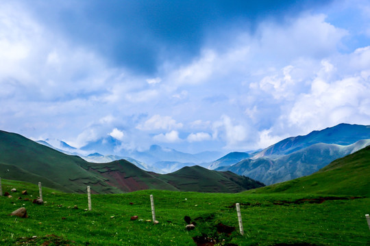 高山牧场