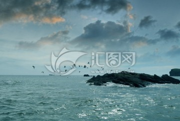 大海