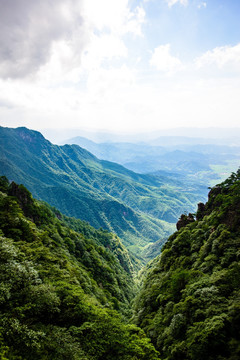 青翠山谷