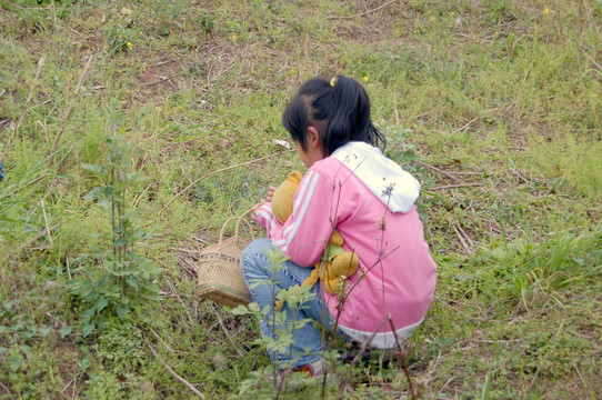 采野菜的小姑娘