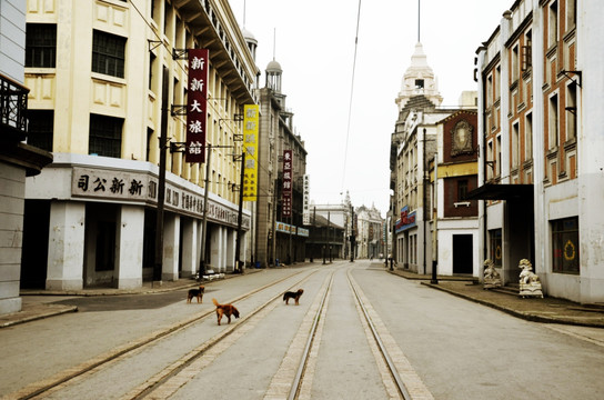 老上海街头的流浪狗