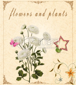 白花复古无框画