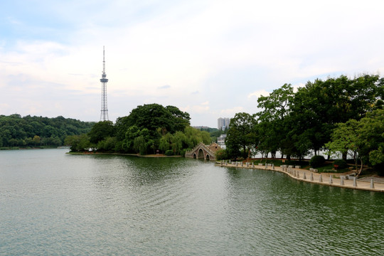 水上小桥