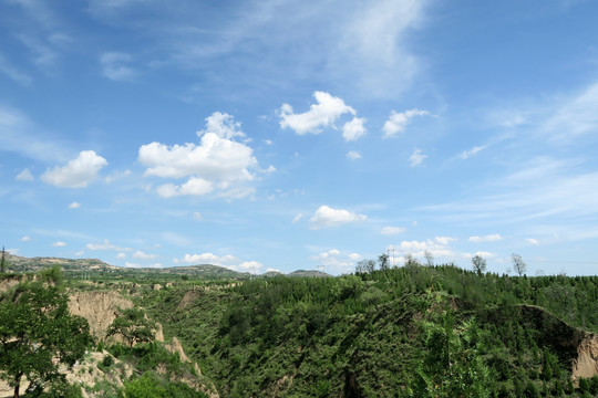 退耕还林 黄土高原