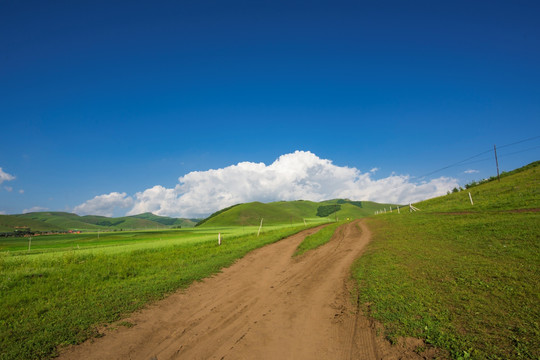 草原小路