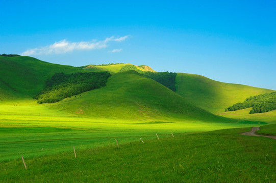 坝上山丘 夏天