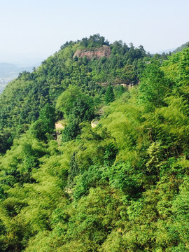 江山如此多娇