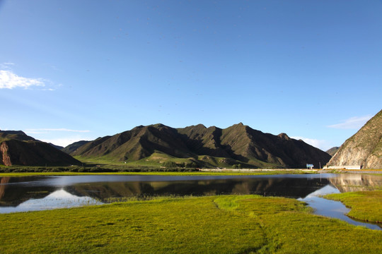 草原湿地