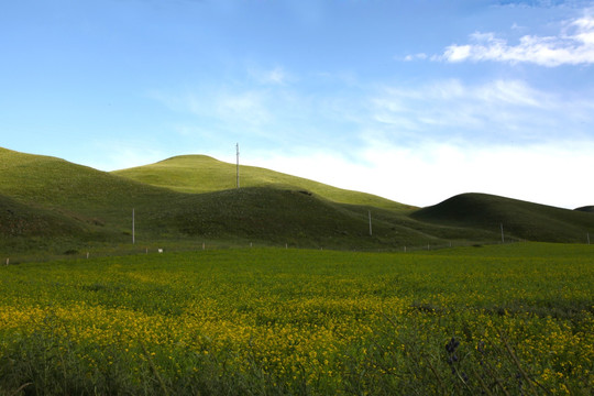 草原牧场