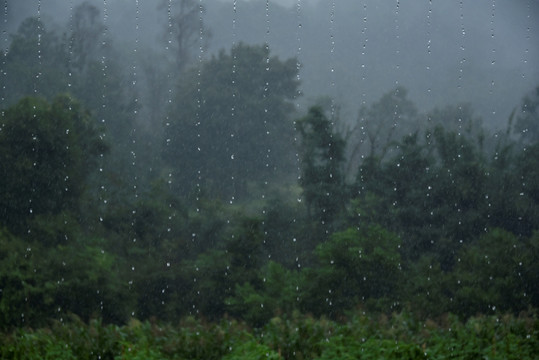 阴雨天