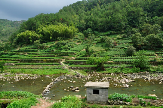 新昌穿岩十九峰自然风光