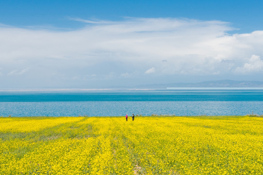 青海湖