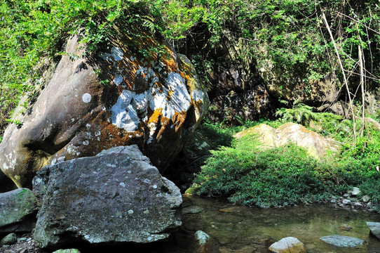 峡谷 小河