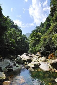 峡谷 河床