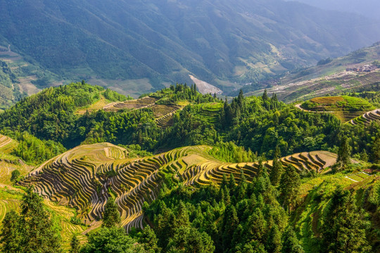 阳光梯田美景