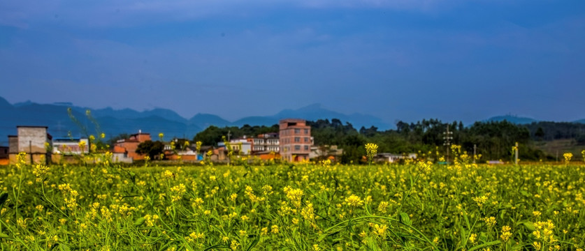 山村