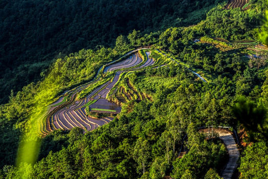 路边风景