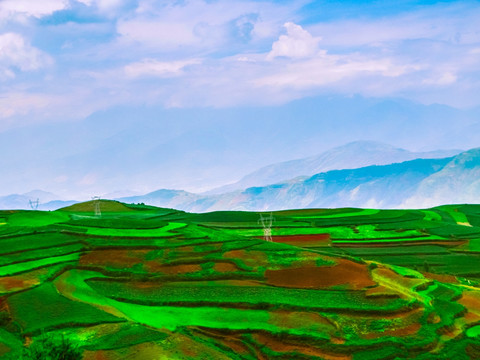 高山梯田
