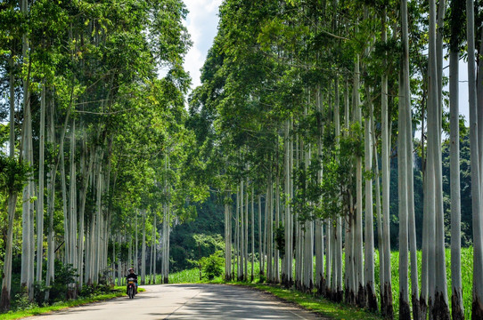 郊区公路