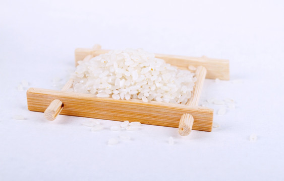 水稻 长粒米 