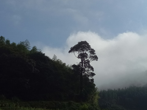 水墨山水