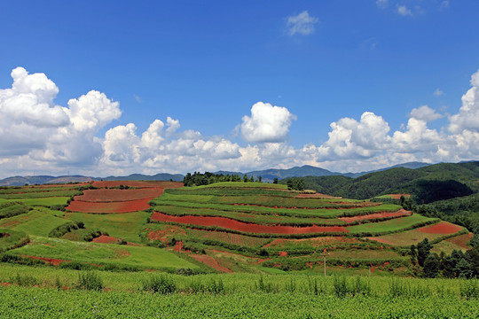 炫目的色彩 东川红土地