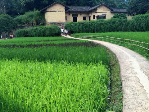 毛泽东故居