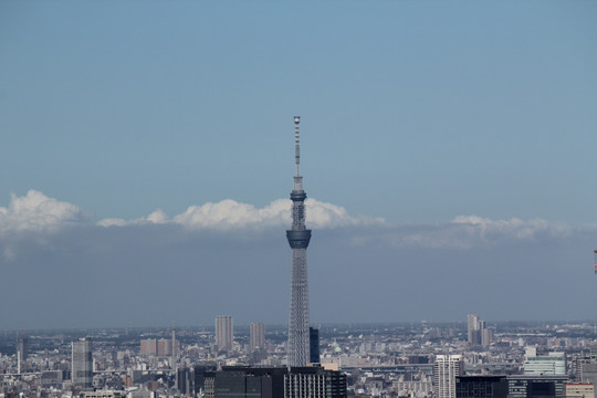 远眺天空树