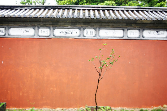 古典院墙建筑 红墙灰瓦