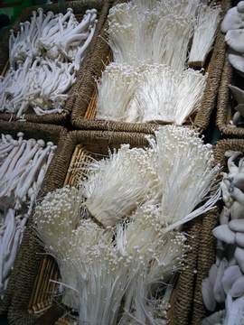 白金针菇