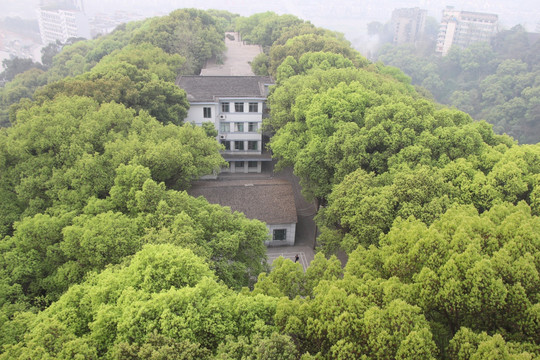 林间住宅