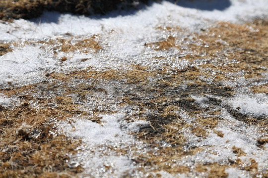 中国甘肃祁连雪山自驾游