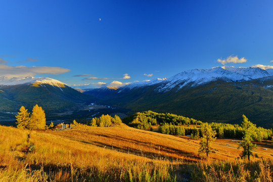 喀纳斯风景