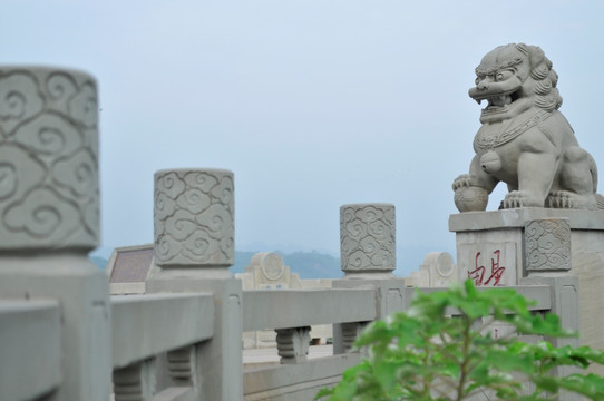 雄狮