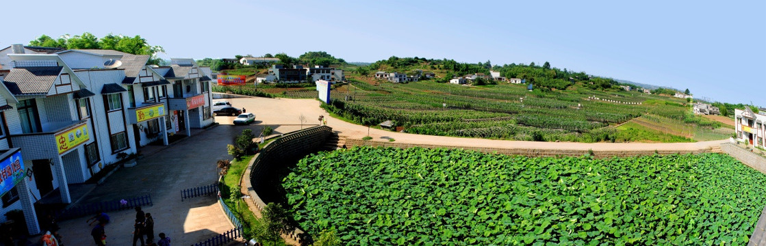 新农村