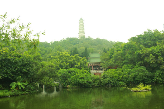 公园风景
