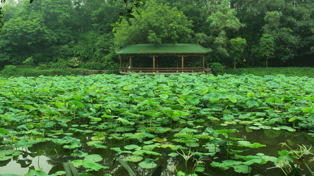 风景秀丽
