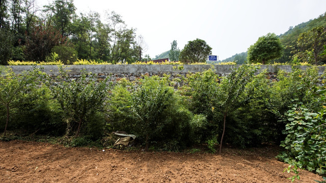 九里山水土保持工程