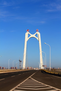 大庆 湿地高架桥