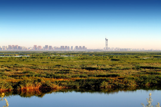 大庆 湿地 保护区