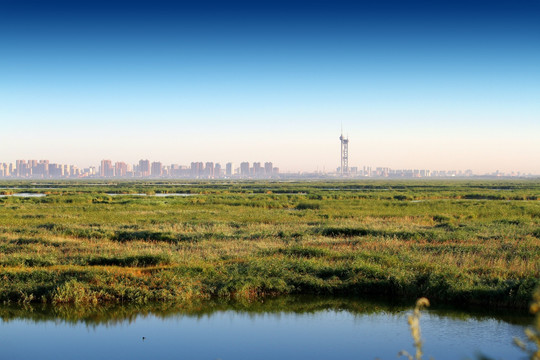 大庆 湿地 城市