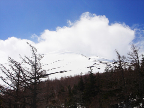 日本东京 富士山